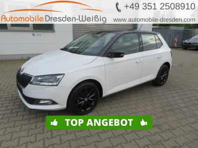 Skoda Fabia 1.0 TSI STYLE*PDC*VOLL LED*TEMPOMAT*